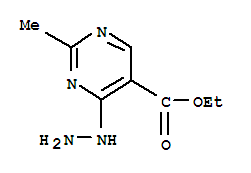 CAS 101251-42-7 molecular structure