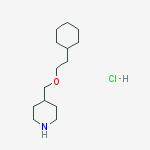 CAS 1051919-42-6 structure
