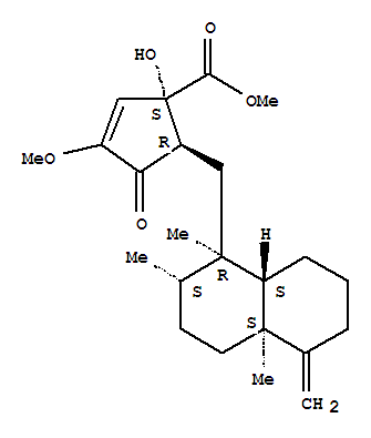 CAS 123062-42-0 structure