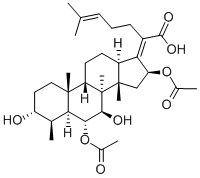 CAS 28393-42-2 molecular structure